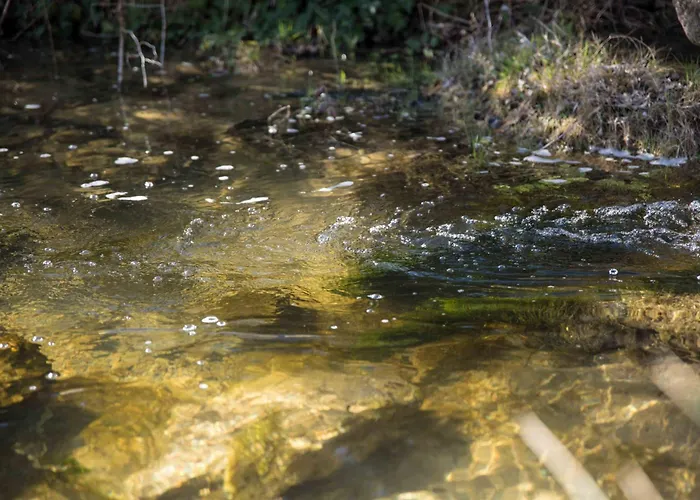 아파트 Avec Jacuzzi, Et Acces Prive A La Riviere *